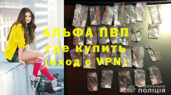 дживик Нефтегорск