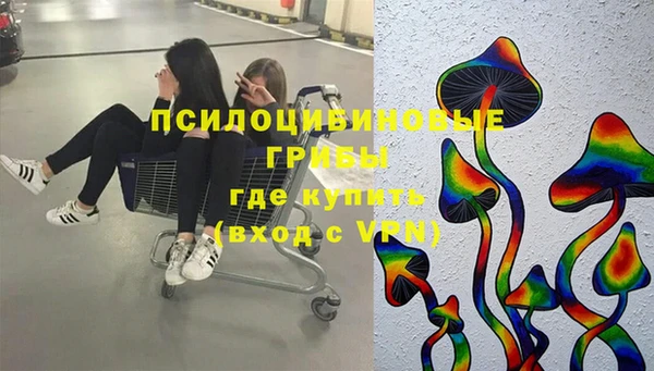 PSILOCYBIN Нея
