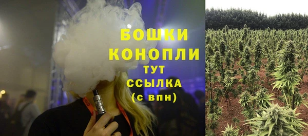 мдпв Навашино